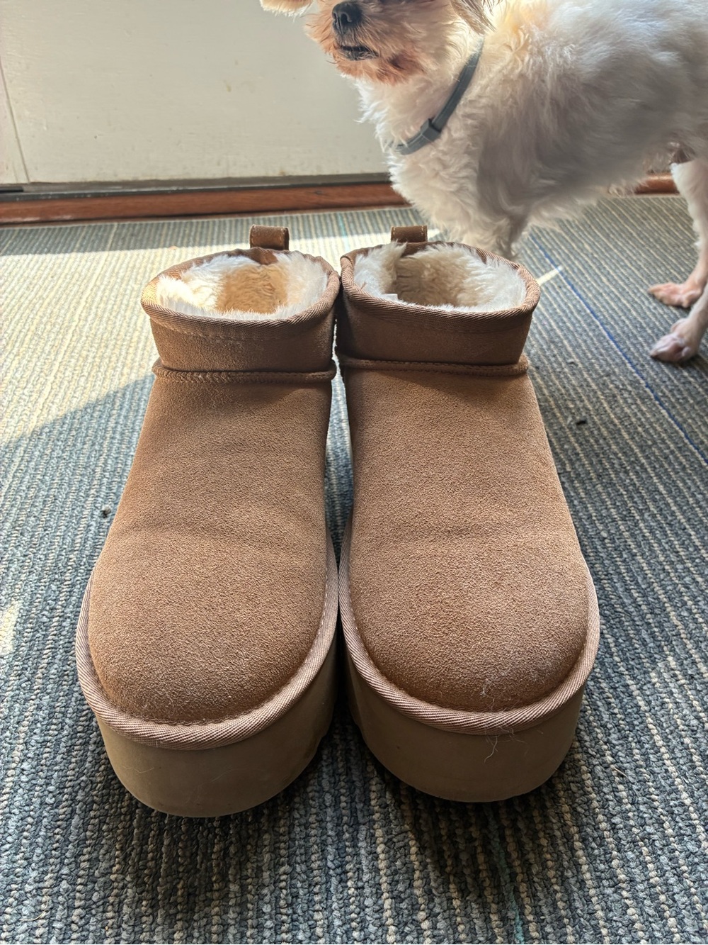 Women’s Ugg dupe Plush-Lined Ankle Booties in Light Brown